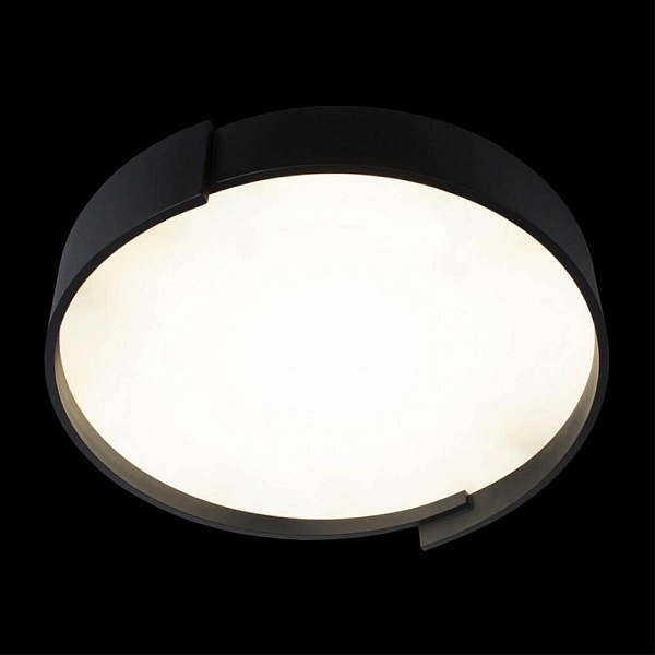 Светильник потолочный LOFT IT COIN 10200 Black