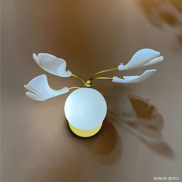 Бра CRYSTAL LUX COLIBRI AP1 GOLD