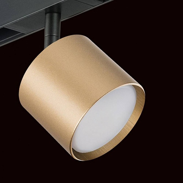 Трековый светильник LIGHTSTAR RULLO PRO3490