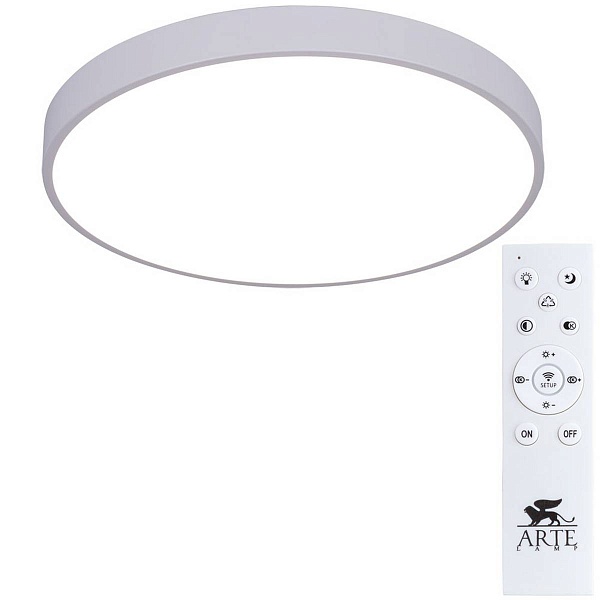 Светильник потолочный ARTE LAMP ARENA A2670PL-1WH