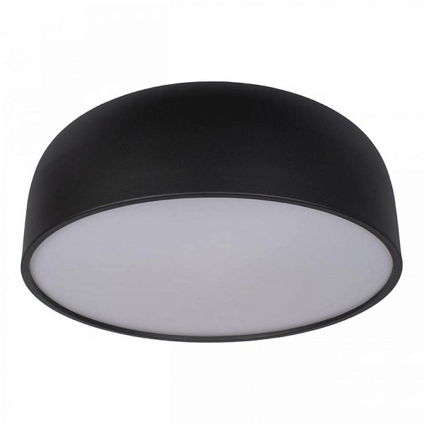 Светильник потолочный LOFT IT AXEL 10201/480 Black