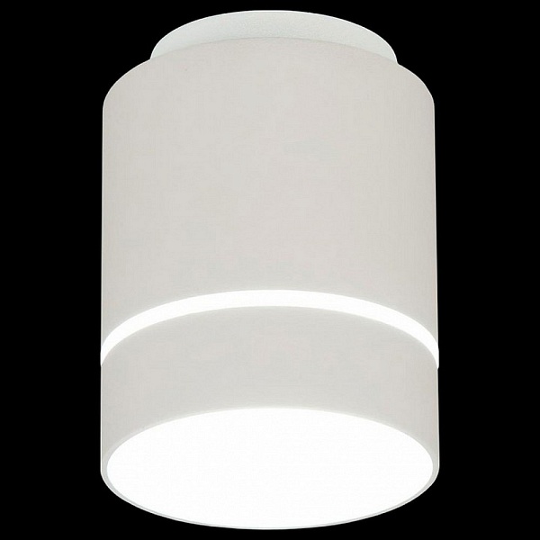 Спот CITILUX БОРН CL745010N