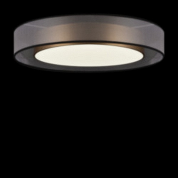 Светильник потолочный FREYA ZOTICUS FR6005CL-L48G