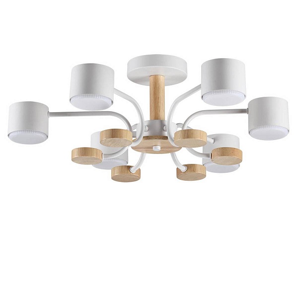 Люстра потолочная LUMION RONDO 8231/6C
