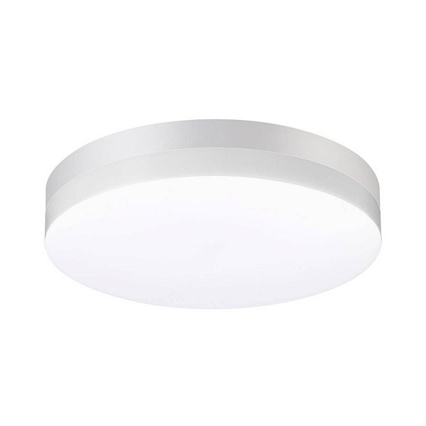 Светильник уличный потолочный NOVOTECH OPAL 358885