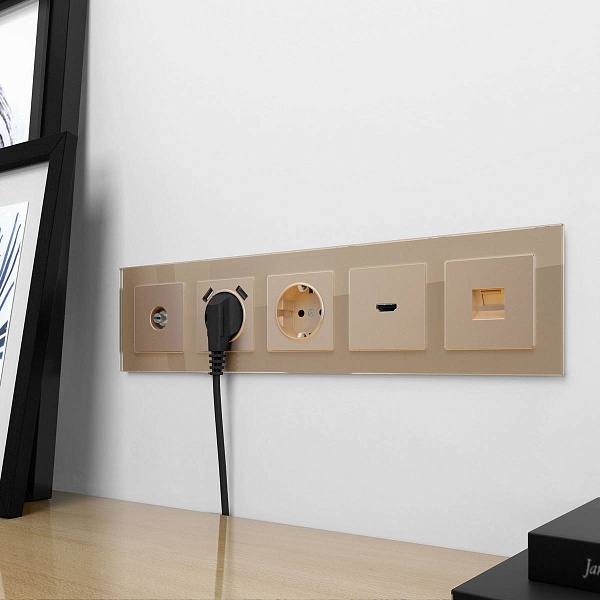 Розетка  TV одиночная, шампань , W1183011, WERKEL