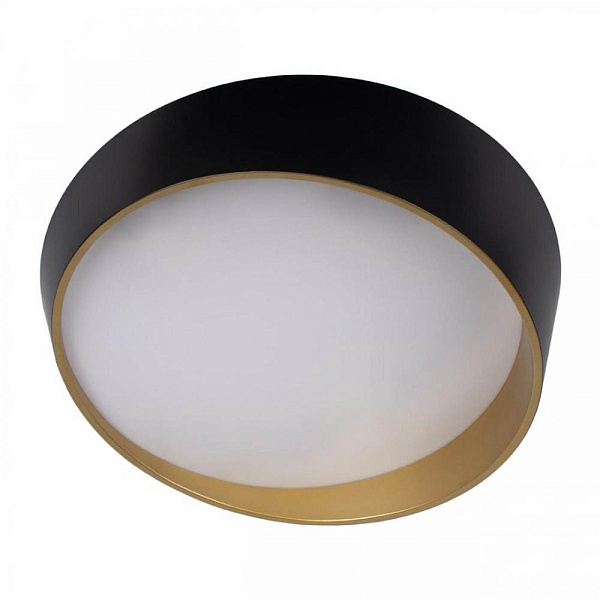 Светильник потолочный LOFT IT COIN 10199 Black