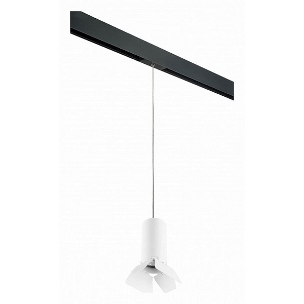 Трековый светильник LIGHTSTAR RULLO PRORP486436
