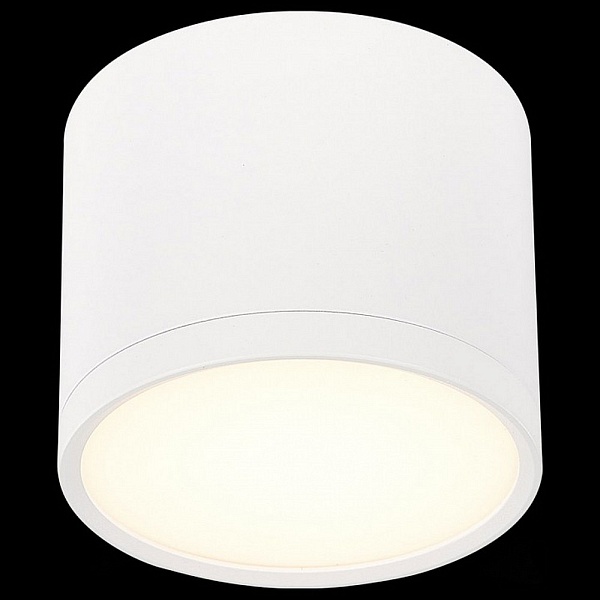 Спот ST LUCE RENE ST113.532.09