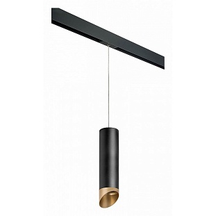 Трековый светильник LIGHTSTAR RULLO PRORP6497190