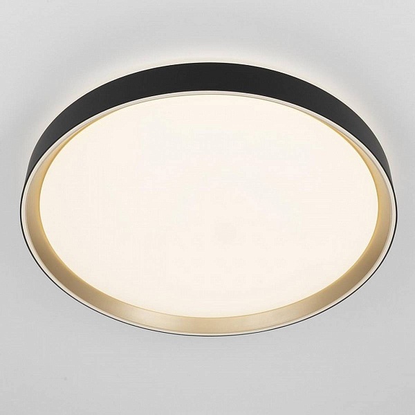 Светильник потолочный CITILUX BOSS CL751451G