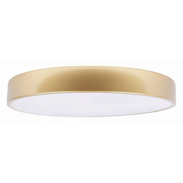 Светильник потолочный LOFT IT FLIMS 10228/A