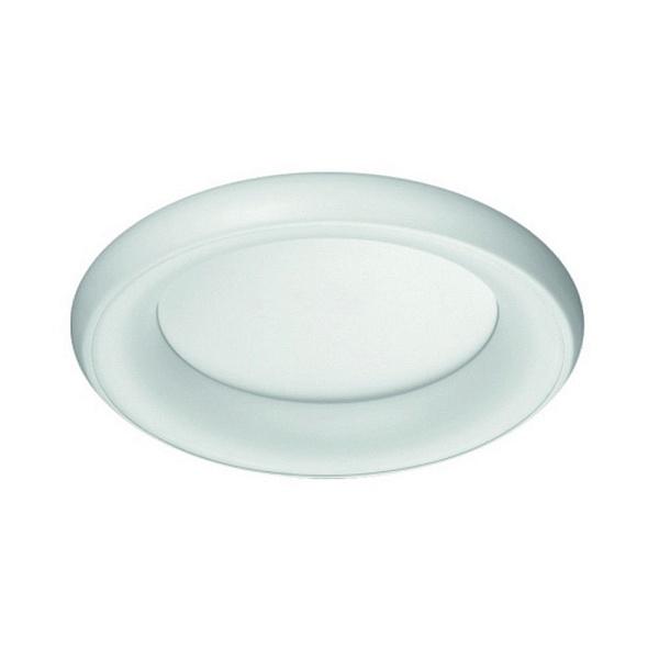 Светильник потолочный LUXOLIGHT LAGUNA LUX0300820