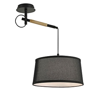 Подвес FAVOURITE EUREKA 3006-1P