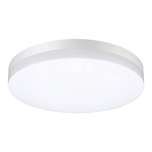 Светильник уличный потолочный NOVOTECH OPAL 358889