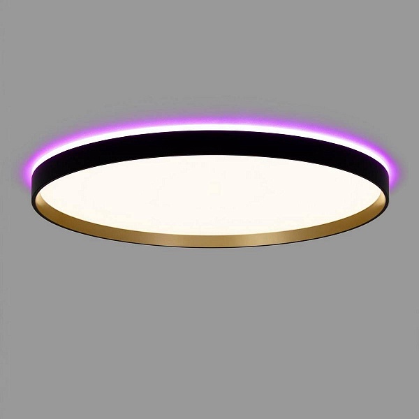 Светильник потолочный CITILUX ETALON CL750501R