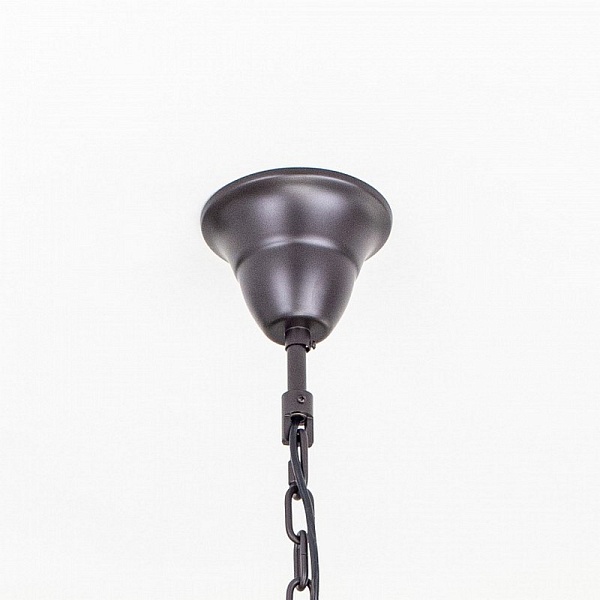 Люстра подвесная CITILUX МАРТИН CL332231