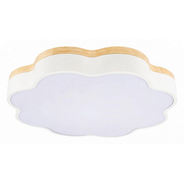 Светильник потолочный LOFT IT AXEL 10225/36 White