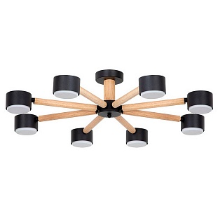 Люстра потолочная ARTE LAMP TENDA A1624PL-8BK