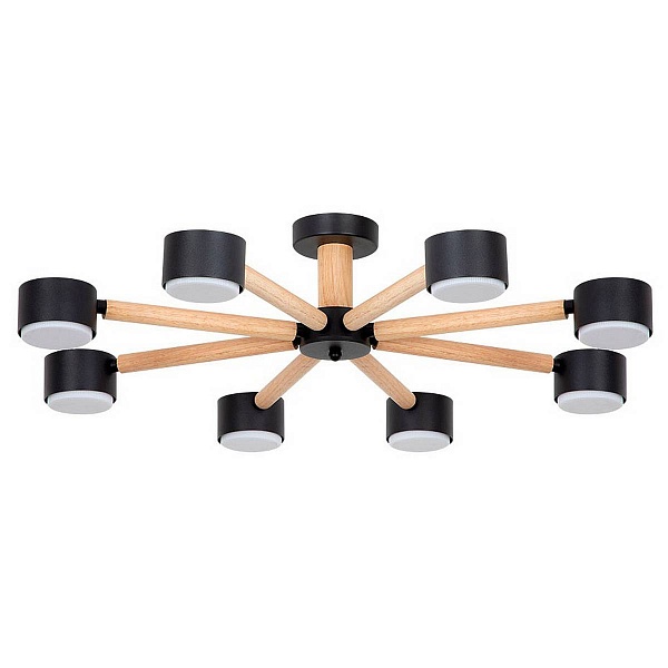 Люстра потолочная ARTE LAMP TENDA A1624PL-8BK