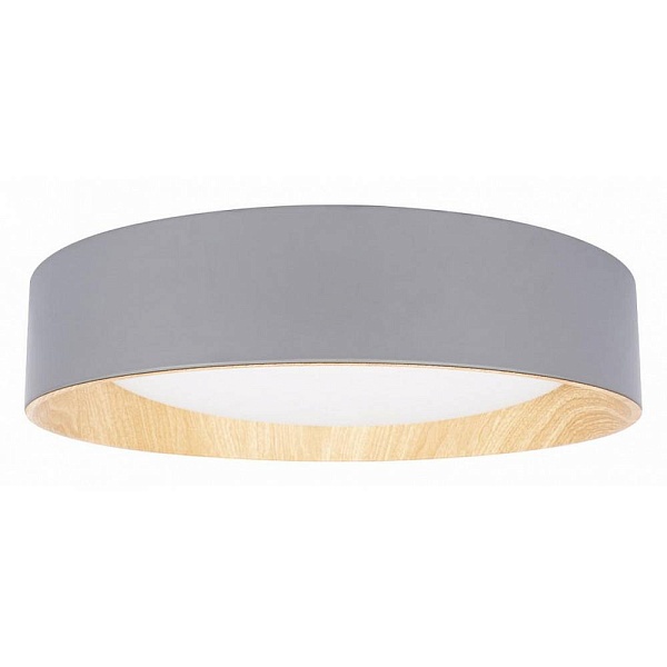 Светильник потолочный LOFT IT COIN 10202 Grey