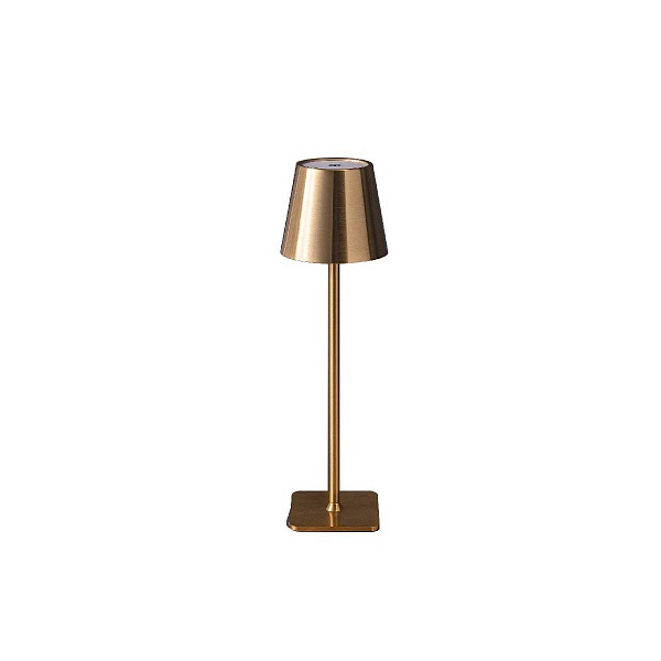 Настольная лампа KINK LIGHT НИККИ 07203-T,20