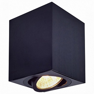 Спот CITILUX ДЮРЕН CL538213