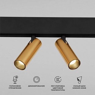 Трековый светильник ELEKTROSTANDARD SLIM MAGNETIC a063527