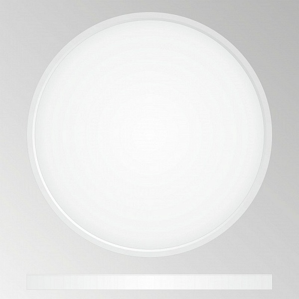 Светильник потолочный CITILUX БЕЙСИК CL738320V