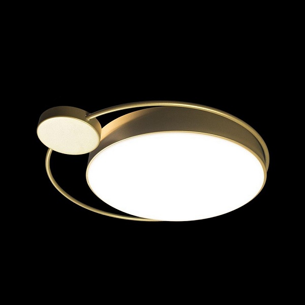 Светильник потолочный LOFT IT MIKE 10063
