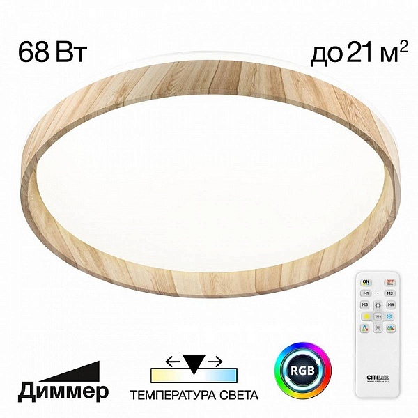 Светильник потолочный CITILUX ENZO CL753452G