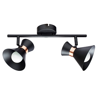 Спот ARTE LAMP Baltimore A1406AP-2BK