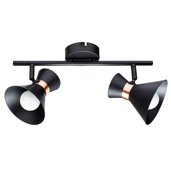 Спот ARTE LAMP Baltimore A1406AP-2BK