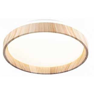 Светильник потолочный CITILUX ENZO CL753352G