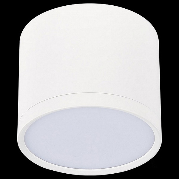 Спот ST LUCE RENE ST113.542.09