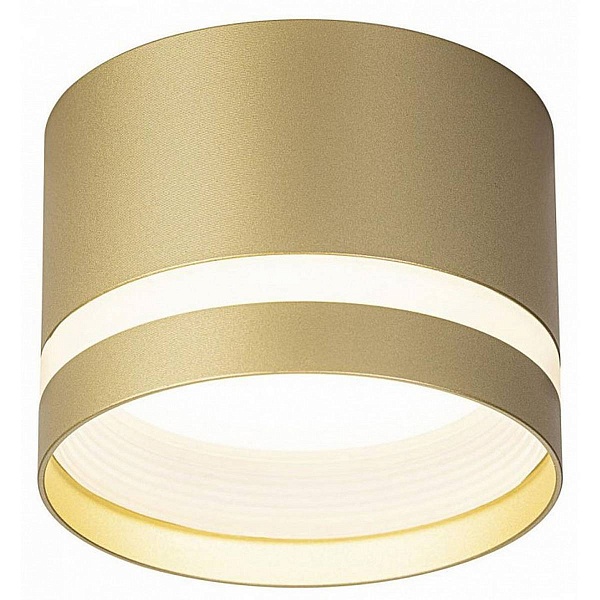 Спот CITILUX HARDY CL002C12