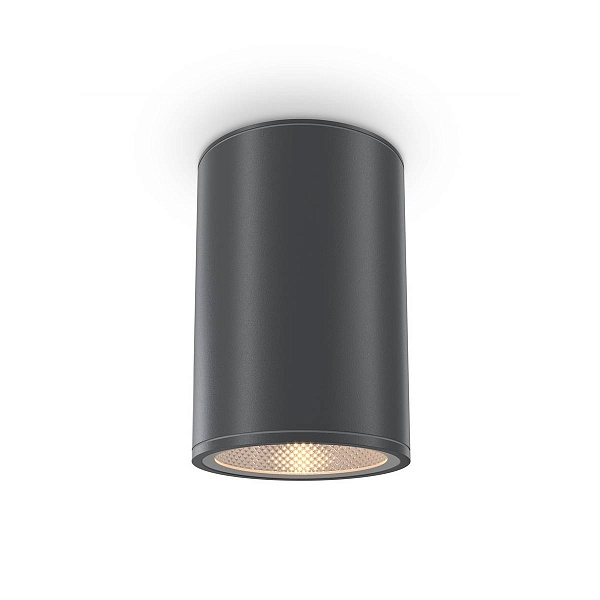 Светильник уличный потолочный MAYTONI BAR O306CL-L12GF