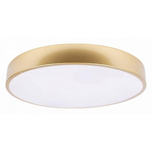 Светильник потолочный LOFT IT FLIMS 10228/A