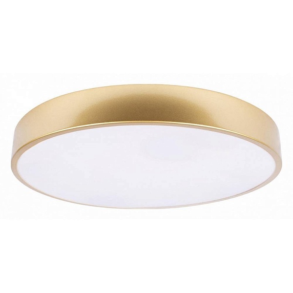 Светильник потолочный LOFT IT FLIMS 10228/A