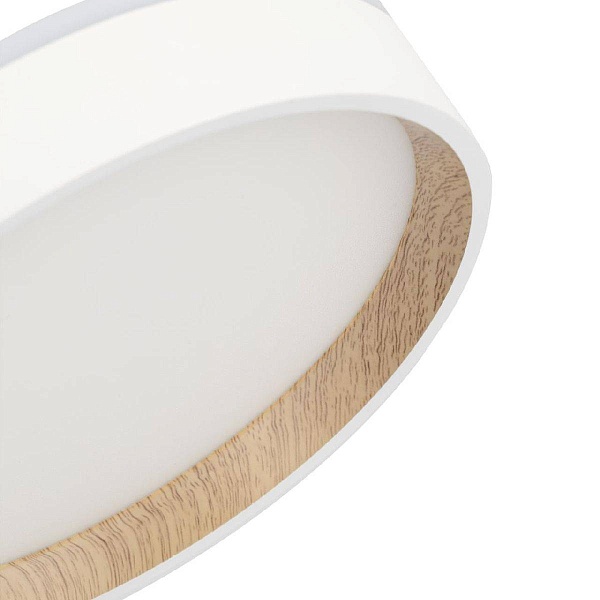 Светильник потолочный CITILUX ETALON CL750180