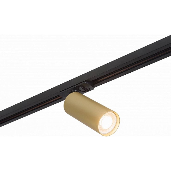 Трековый светильник DENKIRS TUBE DK6202-BG