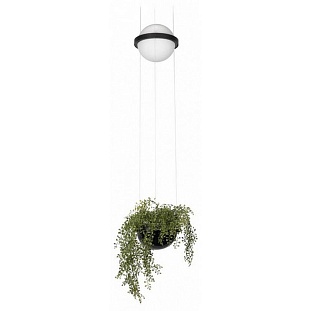Подвес LOFT IT JARDIN 10121/B