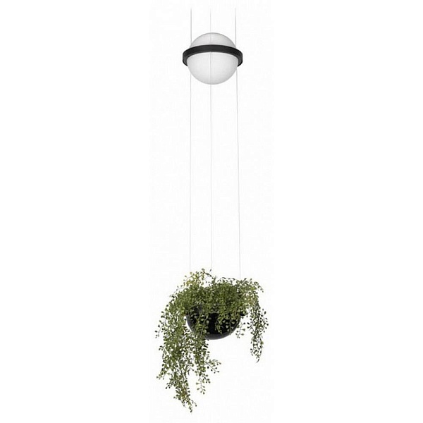 Подвес LOFT IT JARDIN 10121/B