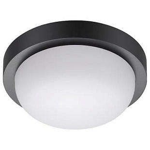 Светильник уличный потолочный NOVOTECH OPAL 358015