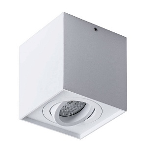 Спот ARTE LAMP FACTOR A5544PL-1WH