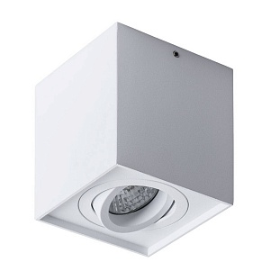 Спот ARTE LAMP FACTOR A5544PL-1WH
