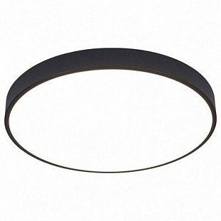 Светильник потолочный ARTE LAMP ARENA A2672PL-1BK