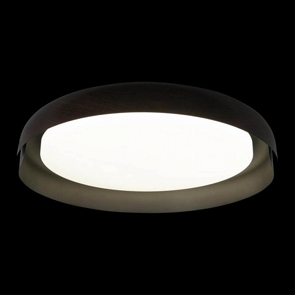 Светильник потолочный LOFT IT COIN 10198 Black