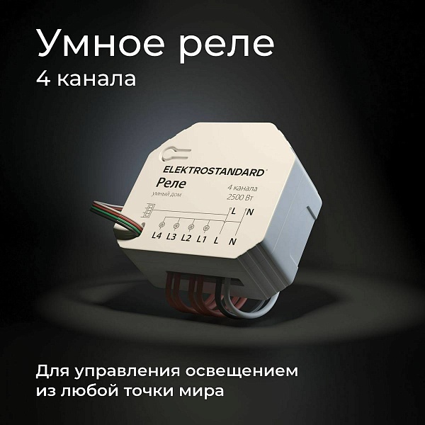 Wi-Fi модуль ELEKTROSTANDARD  76005/00 a059230