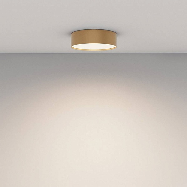 Светильник потолочный MAYTONI ZON C032CL-24W4K-RD-MG